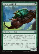画像: ネシアンの角甲虫/Nessian Hornbeetle