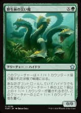 画像: 野生林の災い魔/Wildwood Scourge