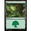 画像1: 森/Forest (1)