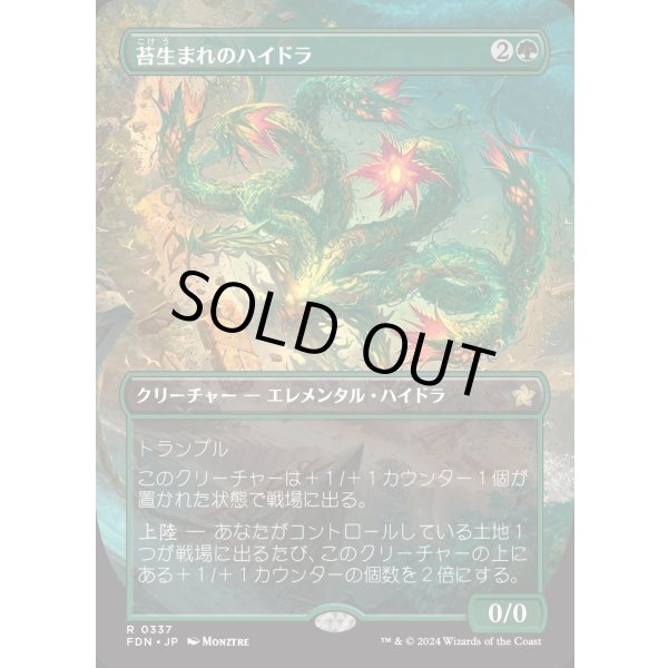 画像1: 苔生まれのハイドラ/Mossborn Hydra (1)