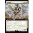 画像1: 光の模範/Exemplar of Light (1)