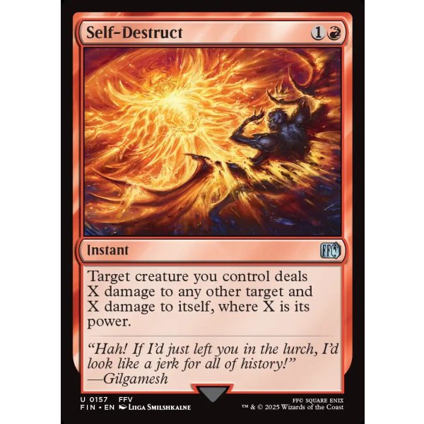 画像2: 自爆/Self-Destruct (2)