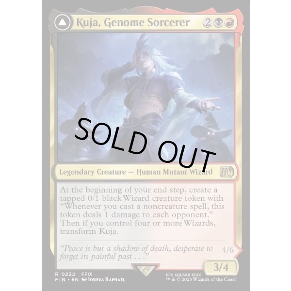 画像3: ジェノムの魔術師、クジャ/Kuja, Genome Sorcerer (3)