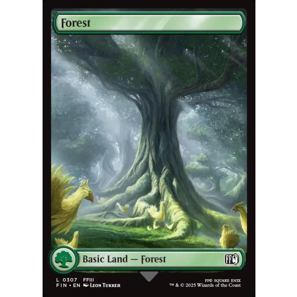 画像2: 森/Forest (2)