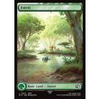 画像2: 森/Forest (2)