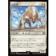 画像1: クアール/Coeurl (1)