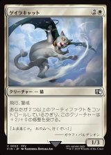 画像: ゲイラキャット/Gaelicat