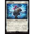 画像1: 「ナイト」の装備/Paladin's Arms (1)