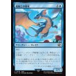 画像1: 竜騎士の飛竜/Dragoon's Wyvern (1)