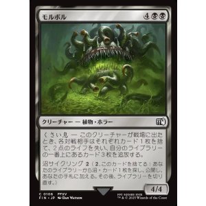 画像: モルボル/Malboro