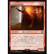 画像1: ミシディアの長老/Mysidian Elder (1)
