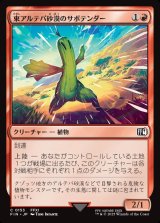 画像: 東アルテパ砂漠のサボテンダー/Sabotender