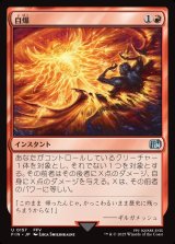 画像: 自爆/Self-Destruct