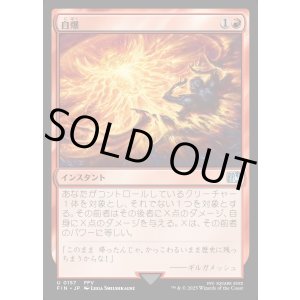画像: 自爆/Self-Destruct