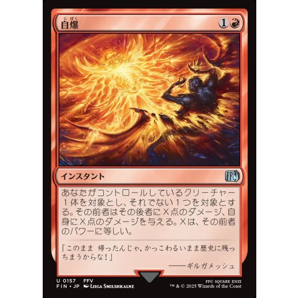 画像1: 自爆/Self-Destruct (1)