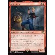 画像1: ゼル・ディン/Zell Dincht (1)