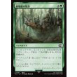 画像1: 劇場艇の墜落/Airship Crash (1)