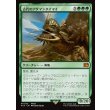 画像1: 古代のアダマンタイマイ/Ancient Adamantoise (1)