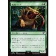 画像1: ギガントード/Gigantoad (1)