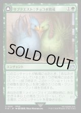 画像: サブクエスト：チョコボ育成/Sidequest: Raise a Chocobo