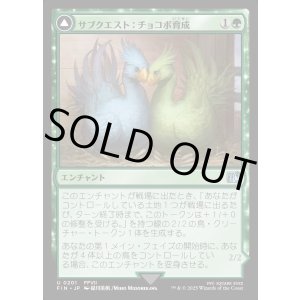 画像: サブクエスト：チョコボ育成/Sidequest: Raise a Chocobo