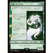 画像1: 召喚：フェンリル/Summon: Fenrir (1)