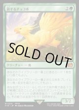 画像: 旅するチョコボ/Traveling Chocobo