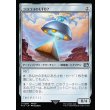 画像1: コヨコヨのＵＦＯ？/PuPu UFO (1)