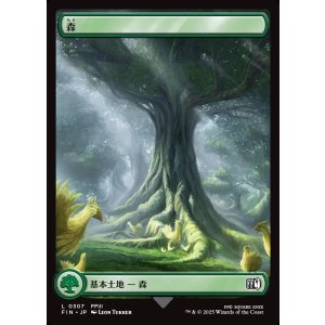 画像: 森/Forest