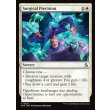 画像2: 外科的精密性/Surgical Precision (2)
