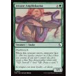 画像2: 秘儀の両頭蛇/Arcane Amphisbaena (2)