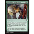 画像2: 救う価値あり/Something Worth Saving (2)
