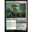 画像2: 救急植療士/Emergency Phytomedic (2)