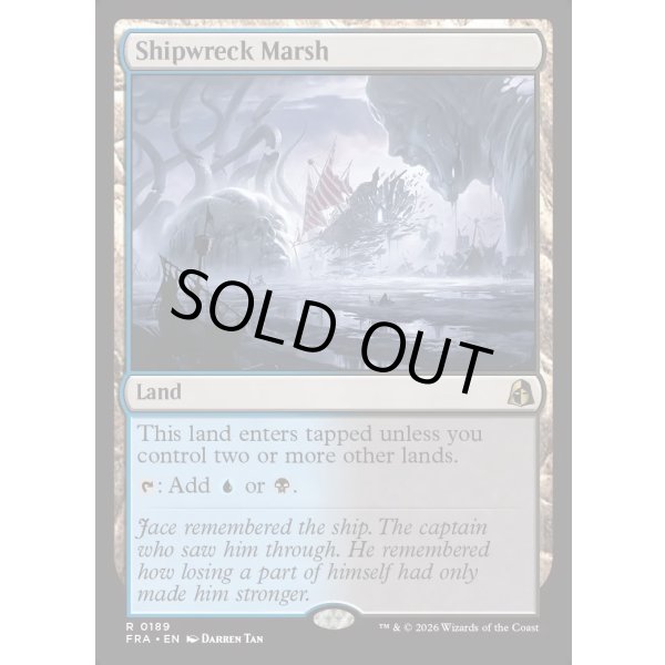 画像2: 難破船の湿地/Shipwreck Marsh (2)