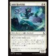 画像1: 移植手術の外科医/Graft Surgeon (1)