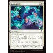 画像1: 外科的精密性/Surgical Precision (1)
