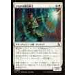 画像1: ひるまぬ園芸術士/Unflinching Hortimancer (1)