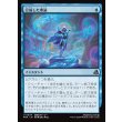 画像1: 完成した理論/Perfected Theory (1)