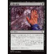 画像1: 失望の解決/Solve for Disappointment (1)