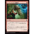 画像1: アーティフィストの洞察力/Artifist Acumen (1)