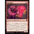 画像1: 棘唱の魔道士/Stingcaster Mage (1)