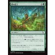 画像1: 獣の乱入/Bestial Incursion (1)