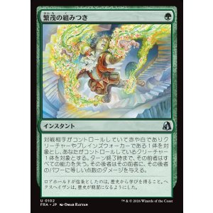 画像: 繁茂の組みつき/Flourishing Grapple