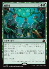 画像: 庭園化/Gardenize