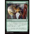 画像1: 救う価値あり/Something Worth Saving (1)