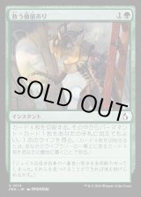 画像: 救う価値あり/Something Worth Saving