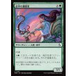 画像1: 必中の播種者/Sureshot Sower (1)