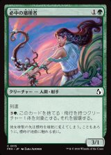 画像: 必中の播種者/Sureshot Sower