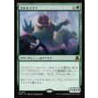 画像1: タルモゴイフ/Tarmogoyf (1)