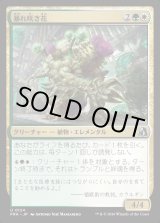 画像: 暴れ咲き花/Bloombrute